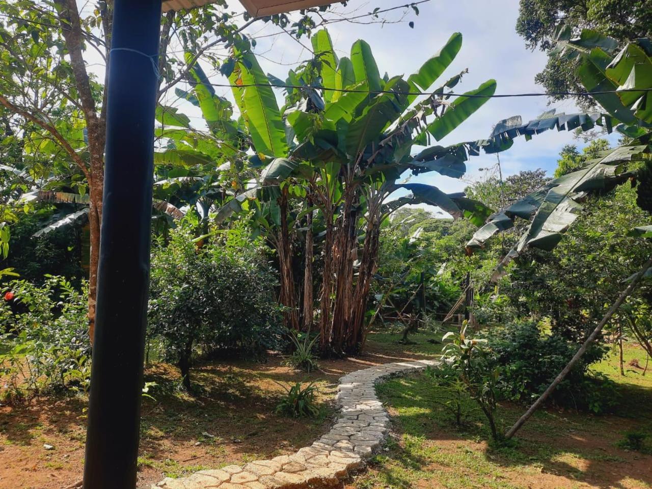 Cabinas Corcovado Green Parrot, Los Planes Drake Драке Экстерьер фото